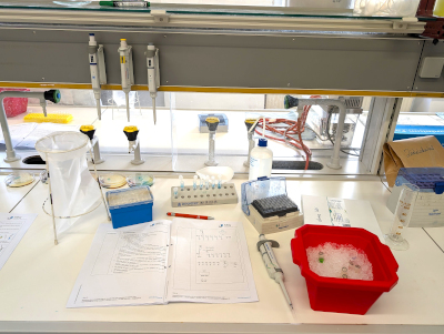 Kombikurs Bio & Chemie: Arbeitsplatz im Labor mit Arbeitsutensilien wie Pinzette und Notizblock