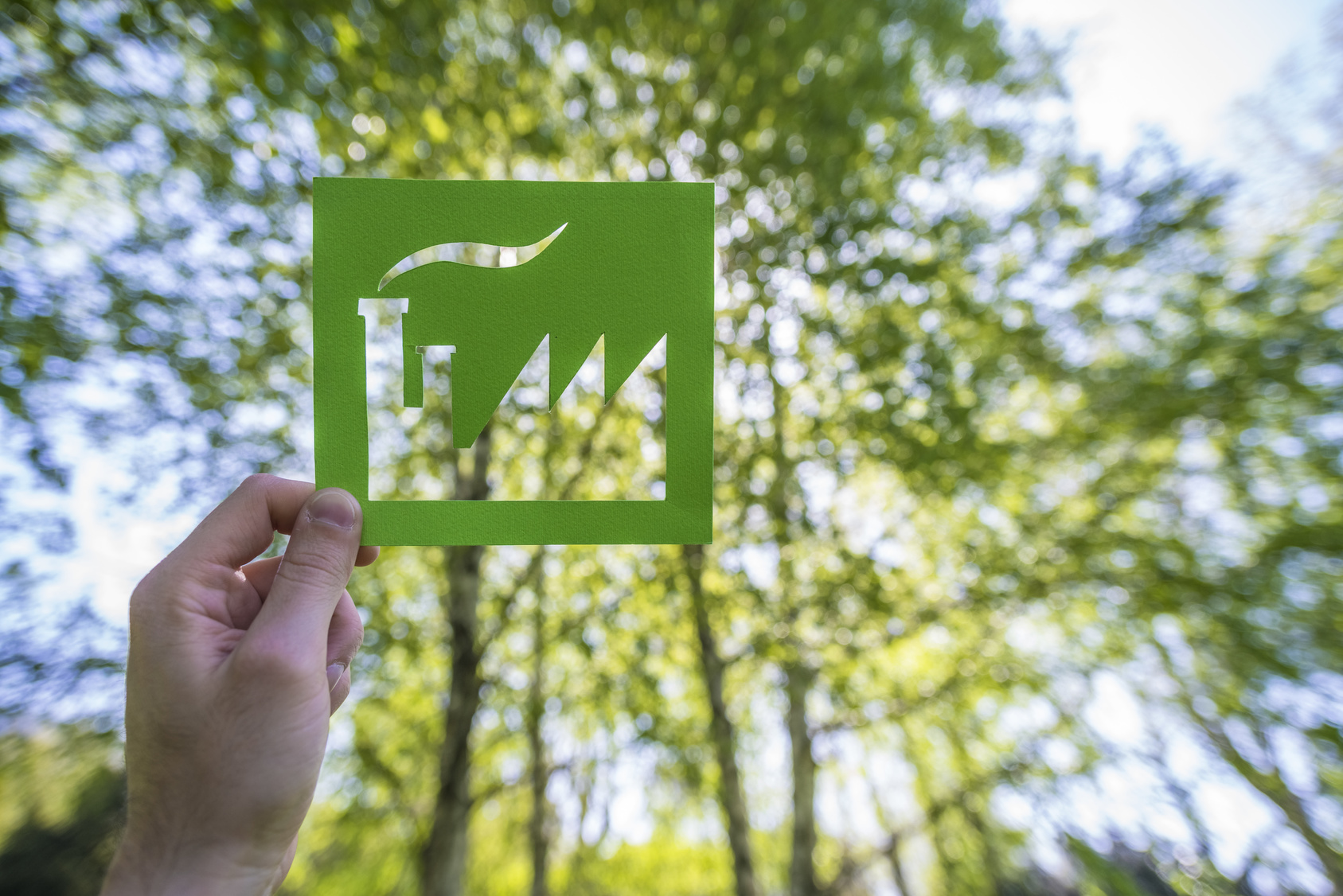 Eco friendly green living